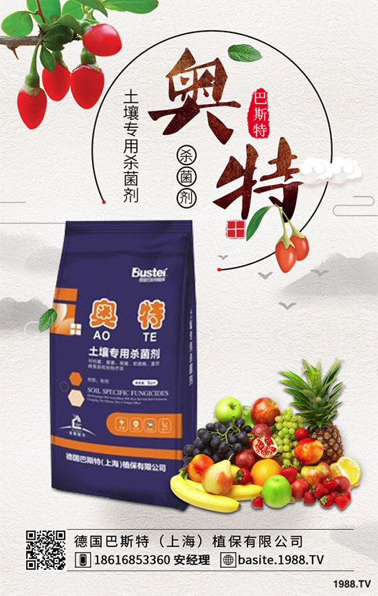 ���ߺ���������ʲô�^(q��)�e�������߷N�ӵķNֲ������