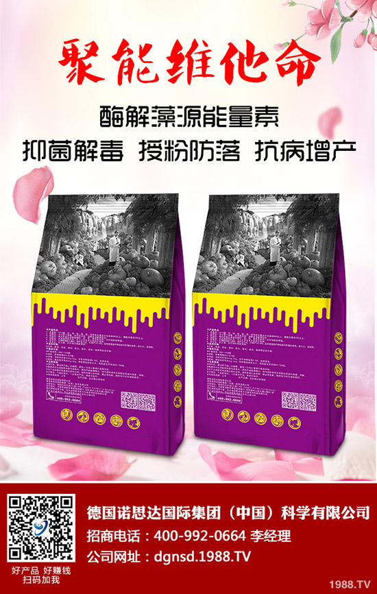 密本南瓜怎么種植?密本南瓜的栽培技術要點與方法!