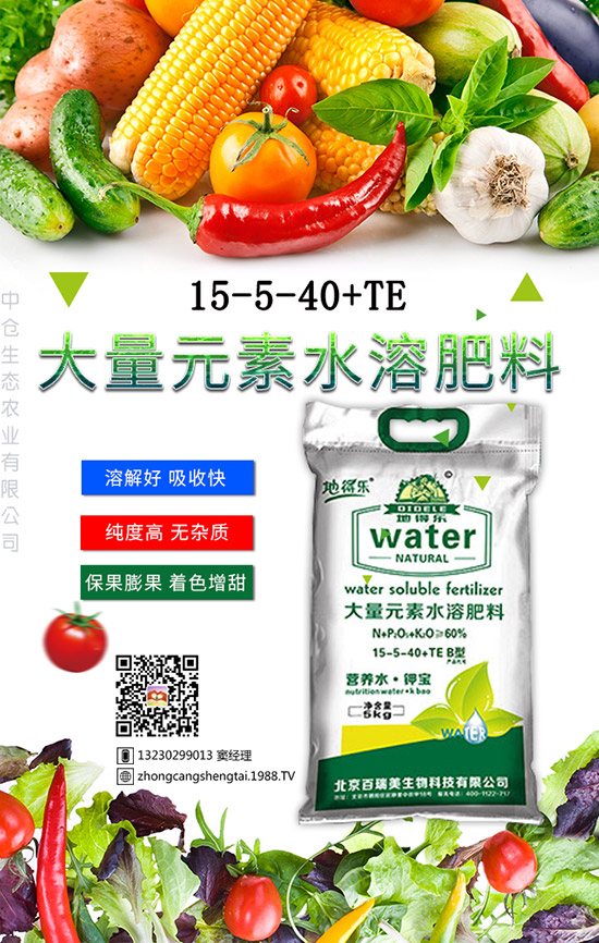 �������@���B(y��ng)�Ų�������������ֳ�������B(y��ng)ֳ������