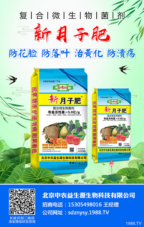     С�����~��ʲô��С�����~����������Щ��С�����~�Q���a(ch��n)��ô��