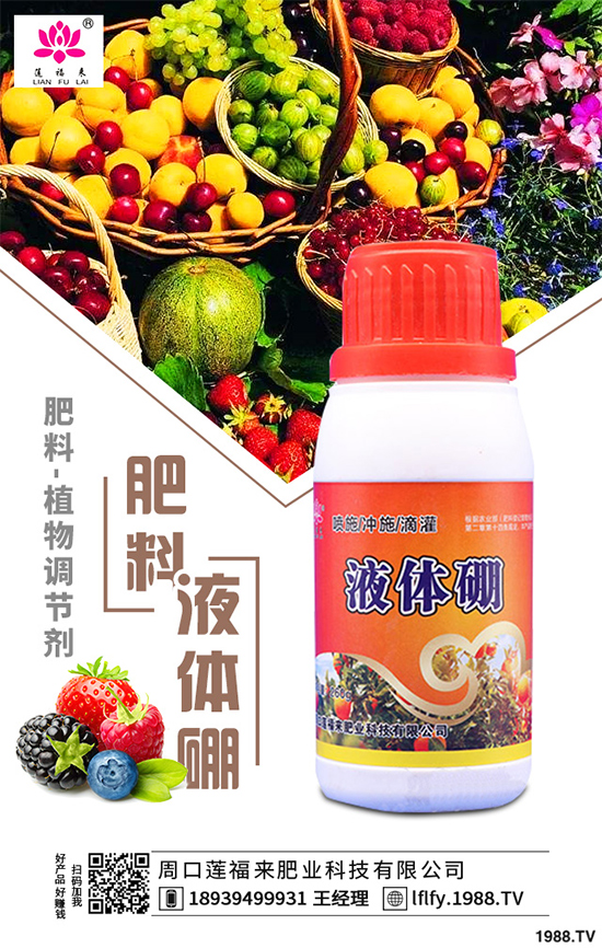 ���v������Щ��;��ԓ������ࣿ���v�������������g(sh��)