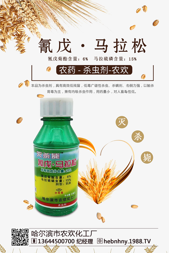 �x(ch��ng)���߷��ڡ������x(ch��ng)ຸ�Ч���x(ch��ng)�����Դ���գ�