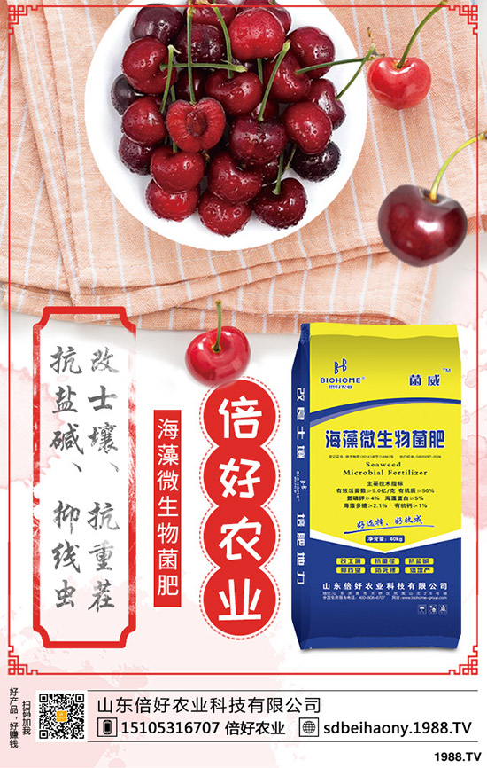     2020����ʲô�r�������������·ݣ�ȫ������С���A(y��)Ӌ�ո�r�g��һ�[��