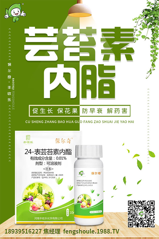 �������ô�޽ӣ���ϼ޽Ӹ߮a(ch��n)�Nֲ���g(sh��)��