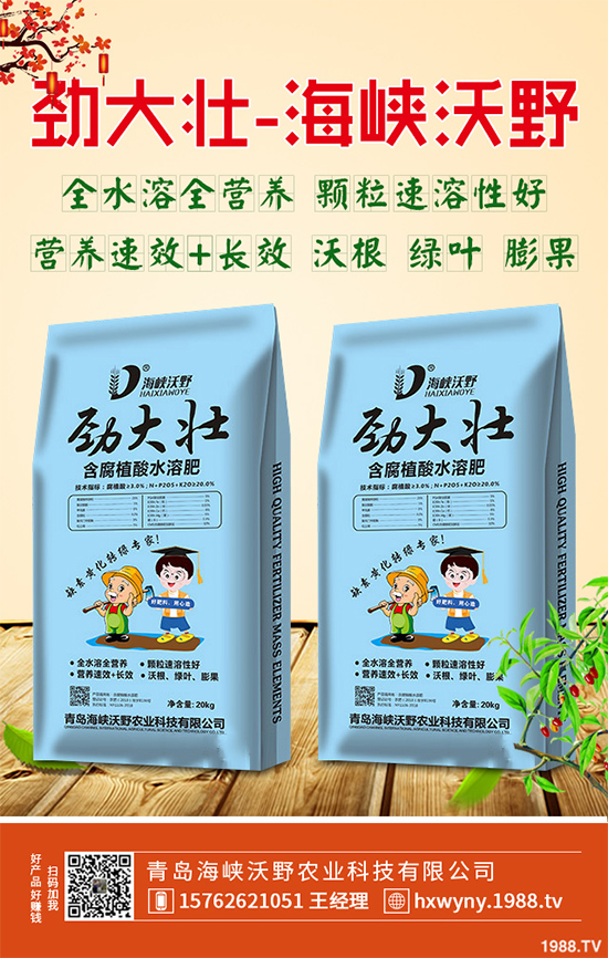 2020年黃精種植前景如何？如何種植才能獲得更高的經(jīng)濟(jì)收入？