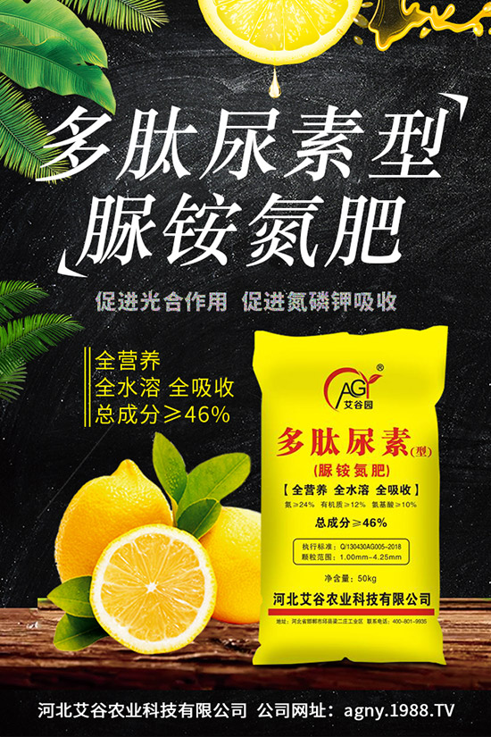 �ļ����NֲҪ�c���ļ������缼�g�����ڹ���