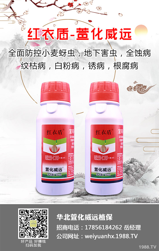     �𻨿��ֽв�ܽ����Ұܽ�صȵ�����һ�N��ˎ����ʳ�Þ�һ�w����������Ѫ���(zh��n)ʹ�ȸ��N��Ч�Ĳݱ�ֲ������Ҫ����ˮ�[��������I(y��ng)�B(y��ng)�r(ji��)ֵҲ�Ƿǳ��S���������҇�(gu��)�ǳ��ܚgӭ����ô���𻨿�ԓ������������𻨿��߮a(ch��n)���༼�g(sh��)����Щ��