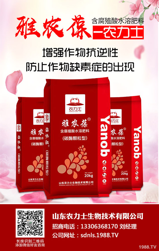     ���؃r(ji��)������������Εr(sh��)�ǂ�(g��)�^��2020-5-14�����������(b��o)�r(ji��)�Ƕ��٣�