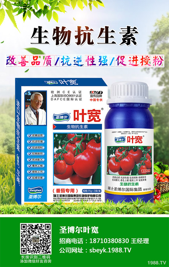 ���ﱡƤ���ԓ�����������Ƥ��ϸ߮a(ch��n)���༼�g(sh��)