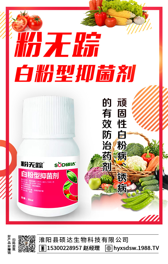 ������ô�Nֲ�������Nֲ���g(sh��)Ҫ�c(di��n)��