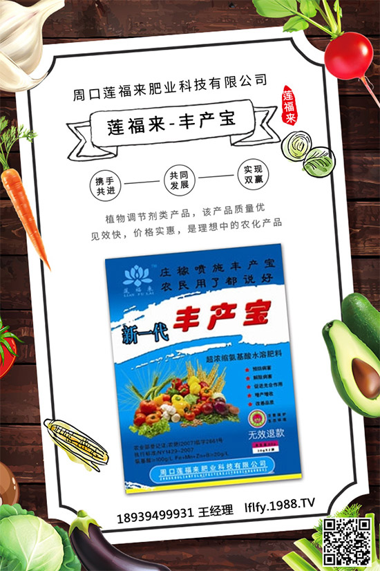 ��(gu��)��(n��i)���؃r(ji��)��