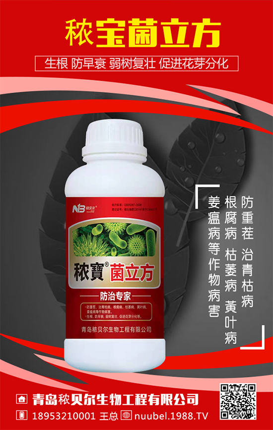 ���J��ô���N���������J�Ĳ��N���������L�^�̣�