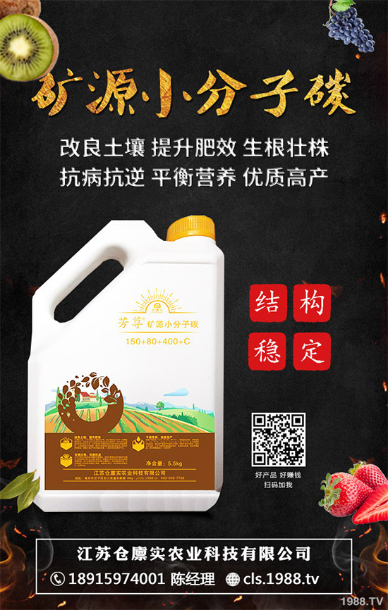 ����⛷ʃr���Ј������܈�