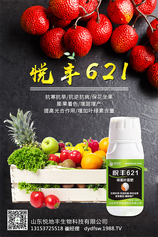 �t����֪��ԓ�����������