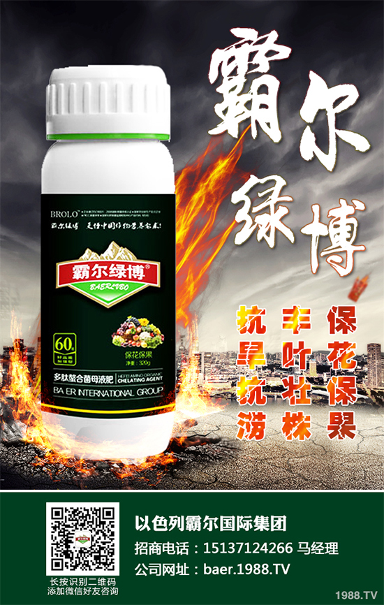 夏玉米什么時(shí)候播種?2020年夏玉米早播晚播的優(yōu)缺點(diǎn)分析