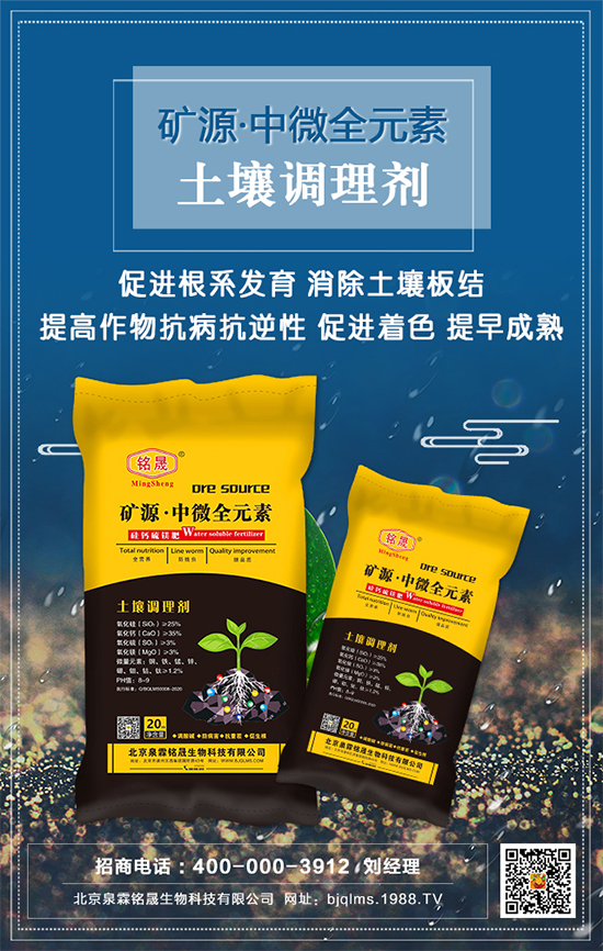 黑芝麻什么時間種植?黑芝麻栽培技術要點!