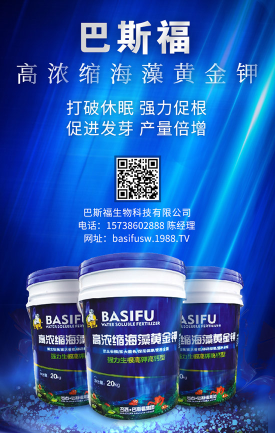 ����ʩ�ʵĸ��ѕr(sh��)�g��ɶ�r(sh��)���� զ��ʩЧ������