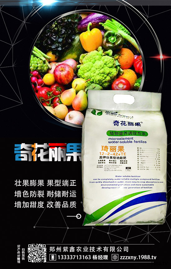 ��ݮĸ�綨ֲ������ʩ�ʣ����ӝ�ˮ��