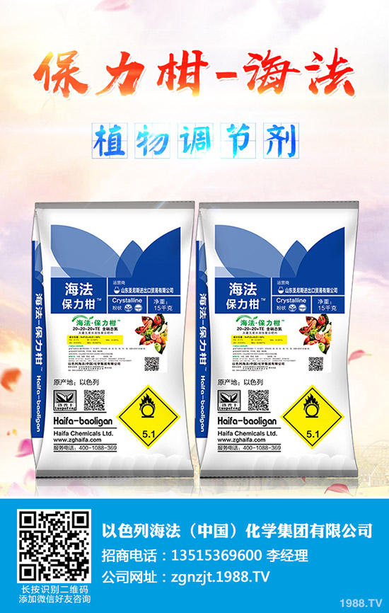 玉木耳種植賺錢么?玉木耳如何栽培?玉木耳栽培技術及種植效益成本!