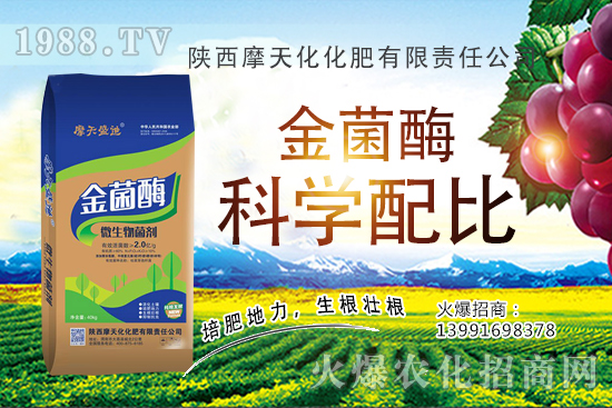 2020�����Nֲǰ����ô���������N�Ӷ����Xһ�