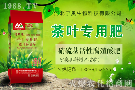 �ӱ����W����Ƽ����޹�˾