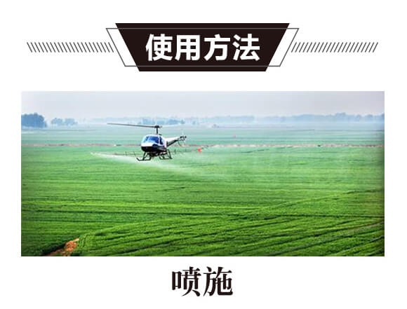 ̼?x��)�˷?�t���T-̼?x��)���H_05