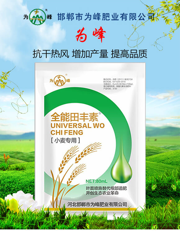 С������ȫ�����S��-���_01