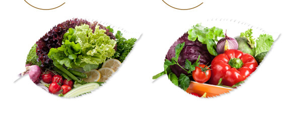 ��ˎ�ĠI�B(y��ng)���a-����ֲ��ˮ�ܷ�-�����r(n��ng)��_07