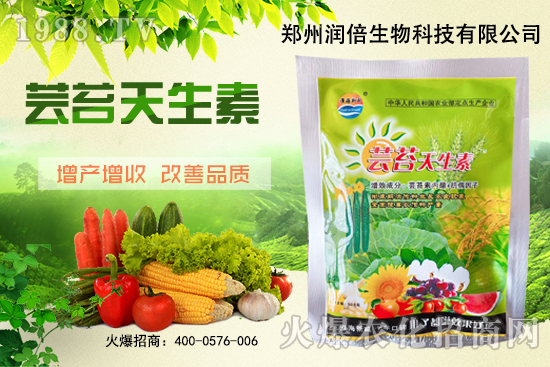 �S�B������ô�������S�B���ڲ��x��������