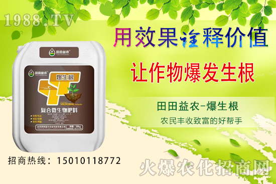 ���¿��ԷNֲ���߲�����Щ�����·N�߲˹���Ҫ�c��