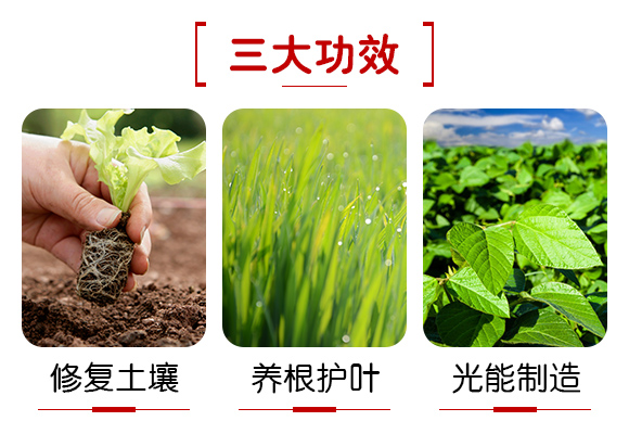�V���������B(t��i)�Ƽ����޹�˾�a(ch��n)ƷԔ���3_04
