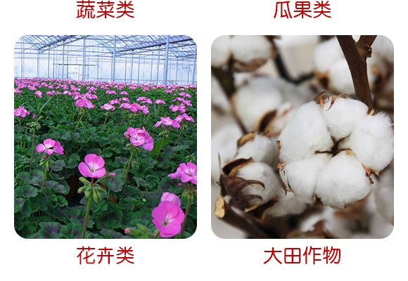 �V���������B(t��i)�Ƽ����޹�˾�a(ch��n)ƷԔ���2_08
