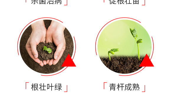 ���b�������a(ch��n)���g�ײ�-�����S-����_06