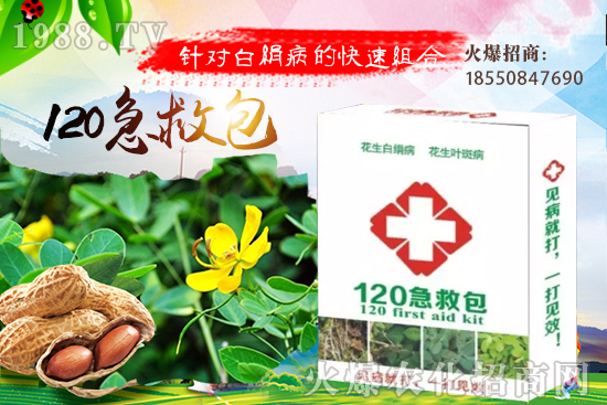 慈姑育苗方法有哪些?慈菇怎么移栽定植?