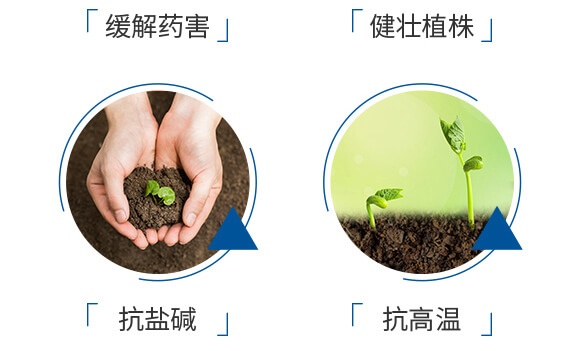 ø���~(y��)�����ܝ{��ƿ��-��(y��u)�׿�-����_06