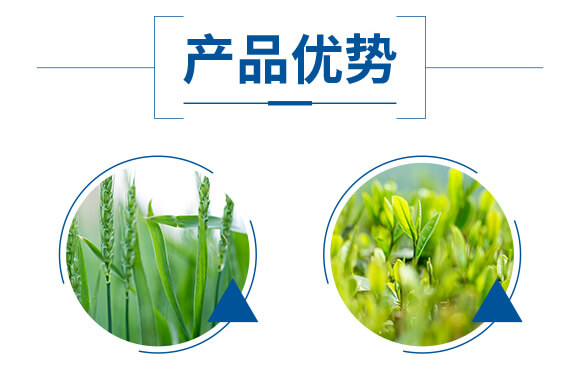 ø���~(y��)�����ܝ{��ƿ��-��(y��u)�׿�-����_05