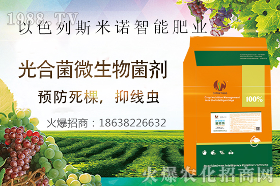 ���Y���xΣ������̫�y��������΢�ء����æ�����ƾ��x���x�ѣ��Ƀ���