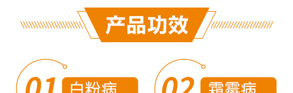 �߮a(ch��n)�G�M(m��n)��-������-��������_06