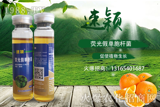 ���ٝ�����Σ��һ���һ����������ٝ�������η��أ�