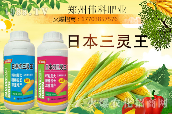 ���׿����״κã����׿����r(sh��)�g�����׿����a(ch��n)Ʒ�x����