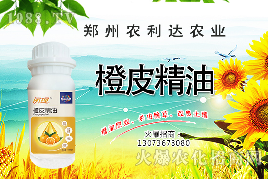 ��Ƥ�������˽��������Ƥ������ʲô��������ô�x��Ƥ���ͣ�