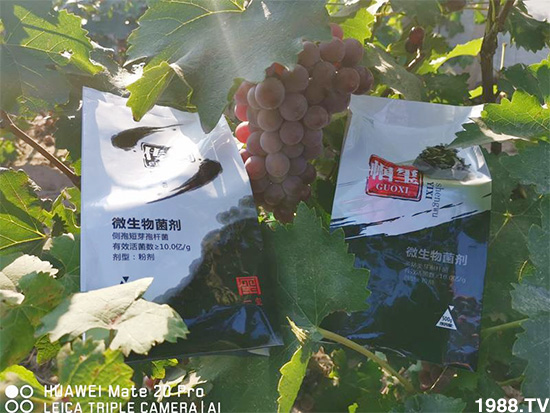 �îa(ch��n)Ʒ�����ã���һ�t���΢������������t���͑��挍������