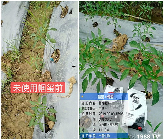 �îa(ch��n)Ʒ����������һ�t���΢������������t���͑��挍������