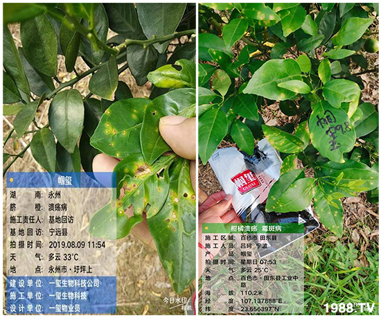 �îa(ch��n)Ʒ����������һ�t���΢������������t���͑��挍������