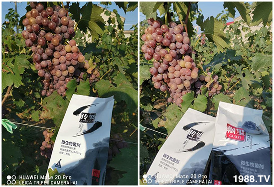 �îa(ch��n)Ʒ����������һ�t���΢������������t���͑��挍������