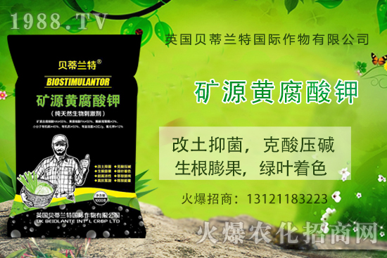 ���ÿ���ô�B(y��ng)�����ÿ��B(y��ng)ֳ������ע�����(xi��ng)��