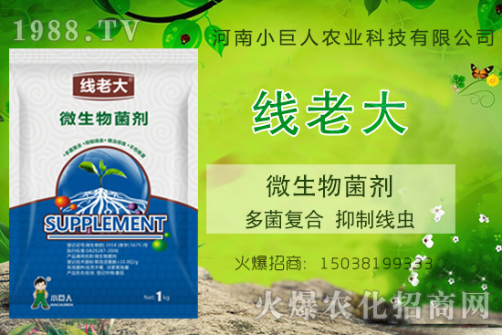 ���Y(ji��)���xզ���������Y(ji��)���x����-�����ϴ󡱶����(f��)�������ƾ��x��