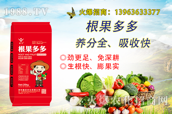 �����������������ô�k����������ࡱ����̽������(sh��)����������B��