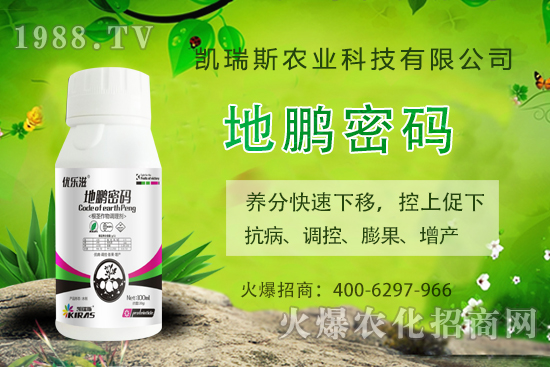 �P��˹�r(n��ng)�I(y��)��ô�����P��˹�r(n��ng)�I(y��)����a(ch��n)Ʒ����Щ��