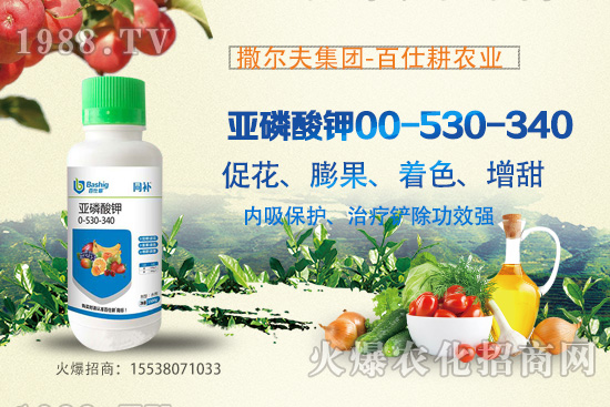 營養(yǎng)控梢,預防潰瘍!亞磷酸鉀真的這么牛嗎?亞磷酸鉀作用原理!